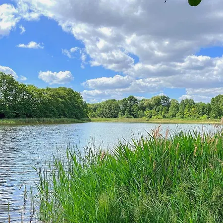 Apartamento Ferienwohnung Hohen Wangelin *