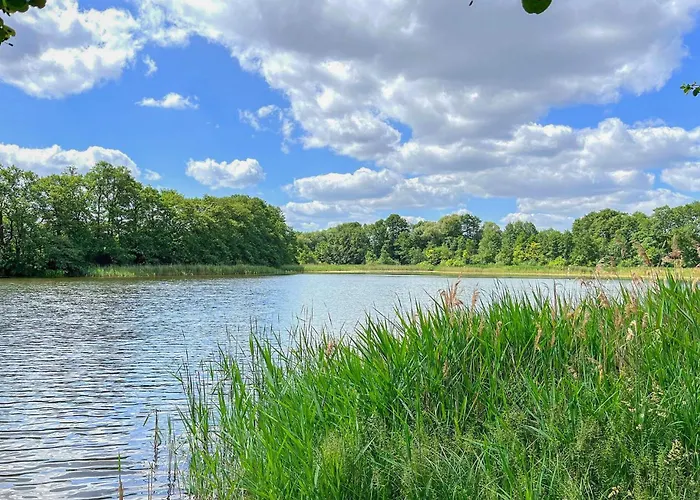 Apartamento Ferienwohnung Hohen Wangelin *